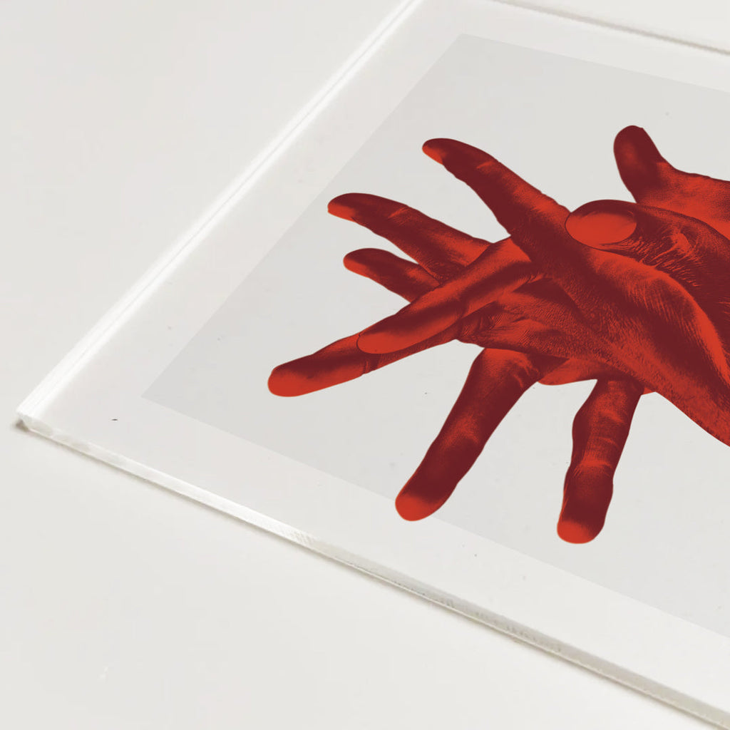 Quadri in Plexiglass